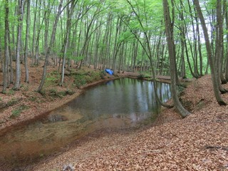 24.04.26-5.JPG