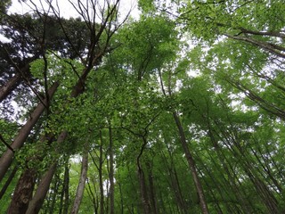 24.04.26-6.JPG