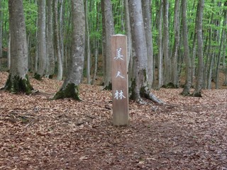 24.04.27-1.JPG