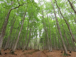 24.04.27-2.JPG