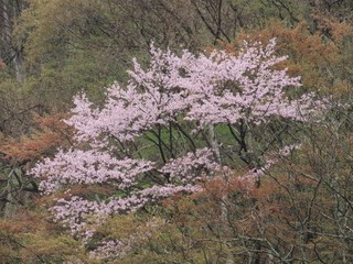 24.04.27-6.JPG