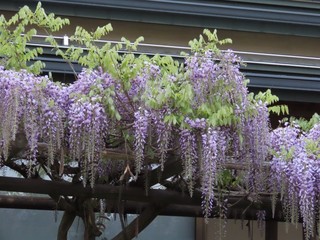 24.04.28-8.JPG