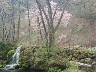 24.04.30-5.JPG