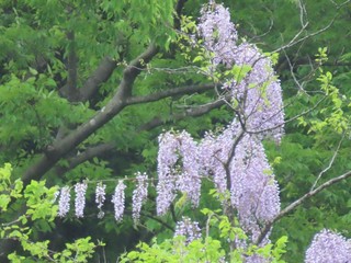 24.05.10-1.JPG