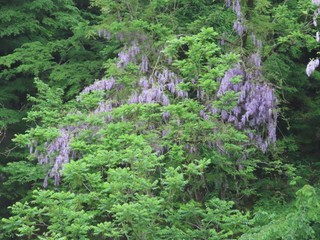 24.05.11-1.JPG