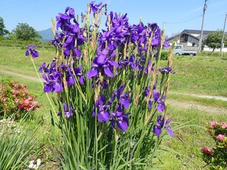 24.05.27-8.JPG