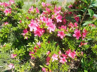 24.05.27-9.JPG