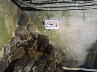 24.06.21-4.JPG