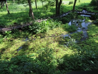 24.06.23-8.JPG