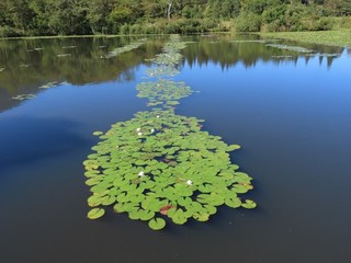 24.09.27-3.JPG