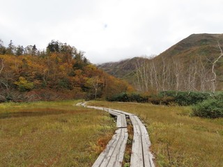 24.10.11-2.JPG