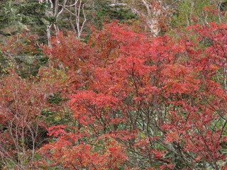 24.10.11-3.JPG