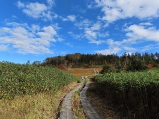 24.10.11-4.JPG