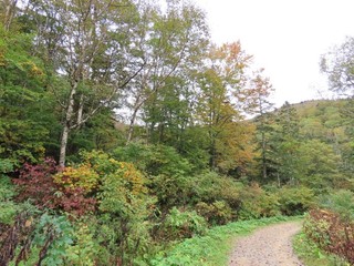 24.10.12-2.JPG