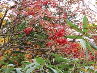 24.10.12-3.JPG