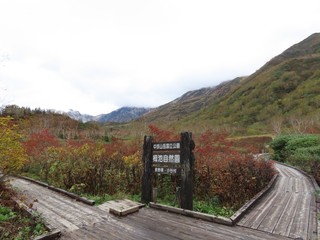 24.10.12-4.JPG