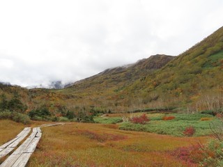 24.10.12-5.JPG