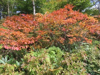24.10.13-2.JPG