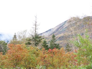 24.10.15-4.JPG
