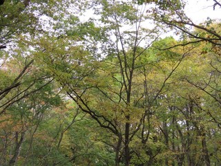 24.10.17-2.JPG
