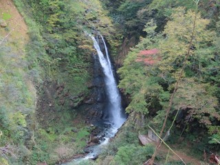 24.10.26-8.JPG