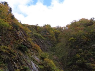24.11.08-3.JPG