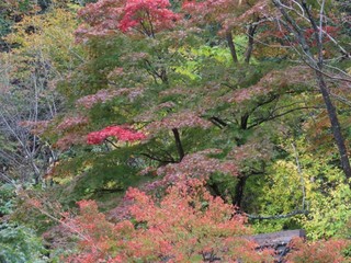 24.11.08-4.JPG