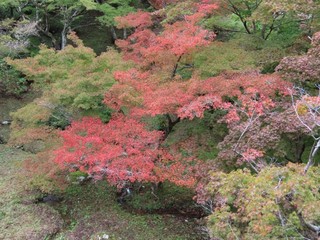 24.11.09-5.JPG