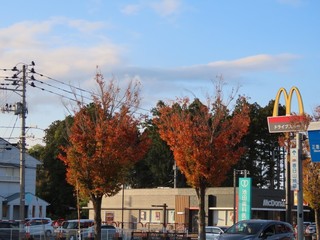 24.11.12-8.JPG