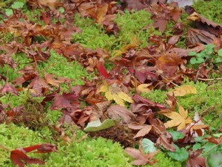 24.11.22-3.JPG