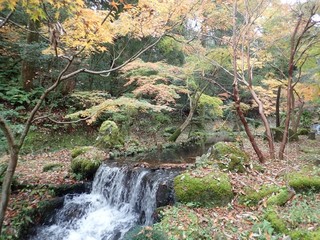 24.11.25-4.JPG