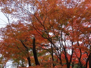 24.11.25-5.JPG