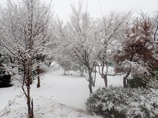 24.12.19-1.JPG