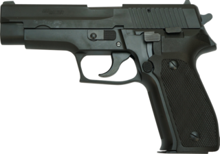 25.01.05SIG P226.png