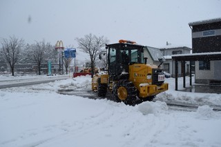 25.01.31-1.JPG