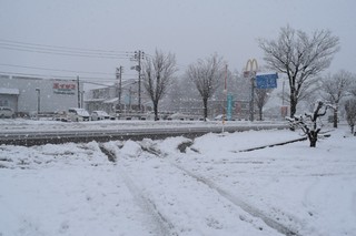 25.02.04.JPG