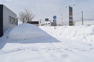 25.02.20-3.JPG