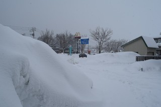 25.02.25-5.JPG