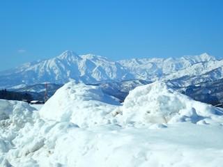 25.02.25.JPG