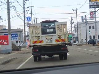 25.03.22-1.JPG