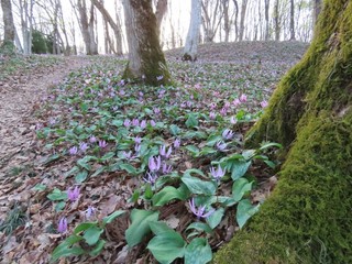 25.03.29-4.JPG