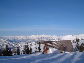 25.03.30V̖kAvXƃqbek.jpg