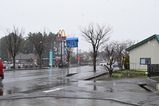 25.03.31-2.JPG