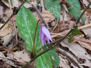 25.04.07J^N[P.JPG