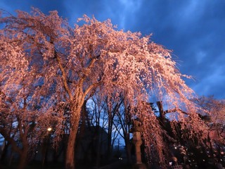 25.04.10-2.JPG