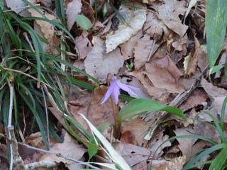 25.04.12-6.JPG
