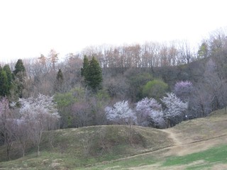25.04.12-7.JPG