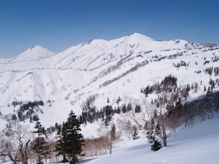 25.04.12-8.jpg