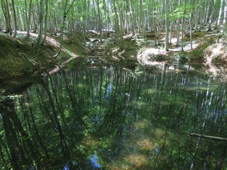 25.05.09lс[R.JPG