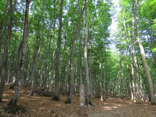 25.05.23-5.JPG